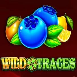 Play the Wild Traces slot by Amusnet Interactive on Slotoro Casino